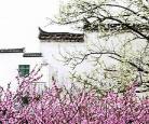 恨爱梨花院落到过溶溶月免费？恨爱by梨花院落